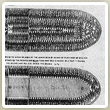 Slaveship1