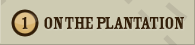 1. On the Plantation