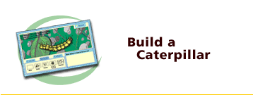 Build a Caterpillar