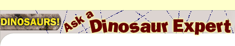 Ask a Dinosaur Expert