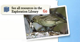 See all resources in the Exploration Library