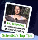 Scientist's Top Tips