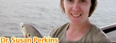 Dr. Susan Perkins