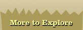 More to Explore