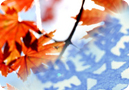 Seasonal Lesson Plans for every month of the year