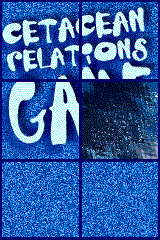 Cetacean Relations Game
