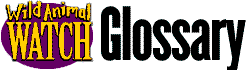 glossary