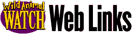 Dolphins: Web Links
