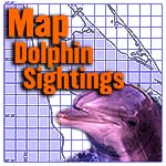 Map Dolphin Sitings