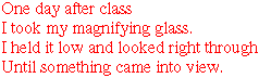 One day after class
I took my magnifying glass.
I held it low and looked right through
Until something came into view.