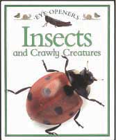 Insects and Crawly Creatures