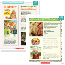 Example Sheets: "Purrfect Pals" and "How to Grow Sweet Potatoes"