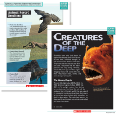 Example Sheets: "Animal Record Breakers" and "Creatures of the Deep"