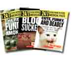 Scholastic 24/7