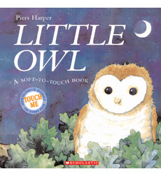 Little Owl