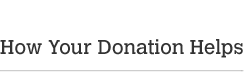 How Your Donation Helps