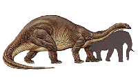 Apatosaurus, a plant-eating dinosaur of the late Jurassic time, was one of the largest land animals that ever lived, perhaps weighing up to 32 metric tons (35 U.S. tons). Here it is compared in size with today's largest land animal, the African elephant. (Grolier Interactive Inc.)