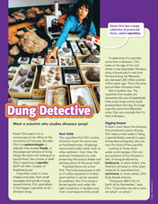 Dung Detective