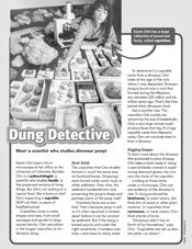 Dung Detective