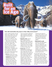 Built for an Ice Age