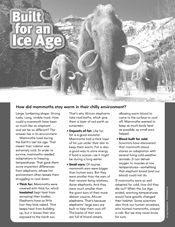 Built for an Ice Age