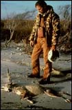 Biologist With Wolf Picture