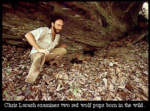 Christopher Lucash Picture