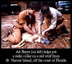 Art Beyer