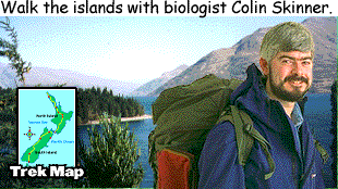 Colin Skinner in New Zealand
