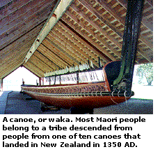 A canoe, or waka