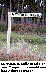 Earthquake Gully Road sign near Taupo. How would you fancy that address?