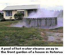 A pool of hot water steams away in the front of a house in Rotorua