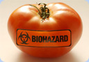 Biohazard Tomato, Genetically Engineered Foods