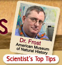 Scientist's Top Tips