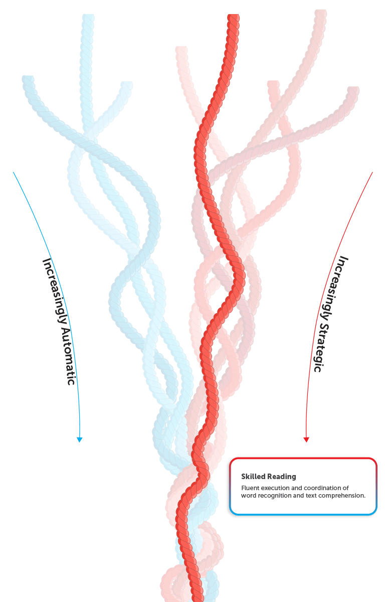 Verbal Reasoning