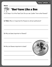 ‘Bee’-have Like a Bee
