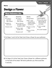 Design a Flower