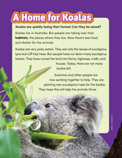 A Home for Koalas