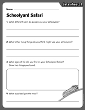 Schoolyard Safari