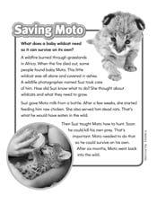 Saving Moto