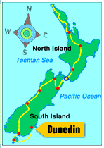 New Zealand Map
